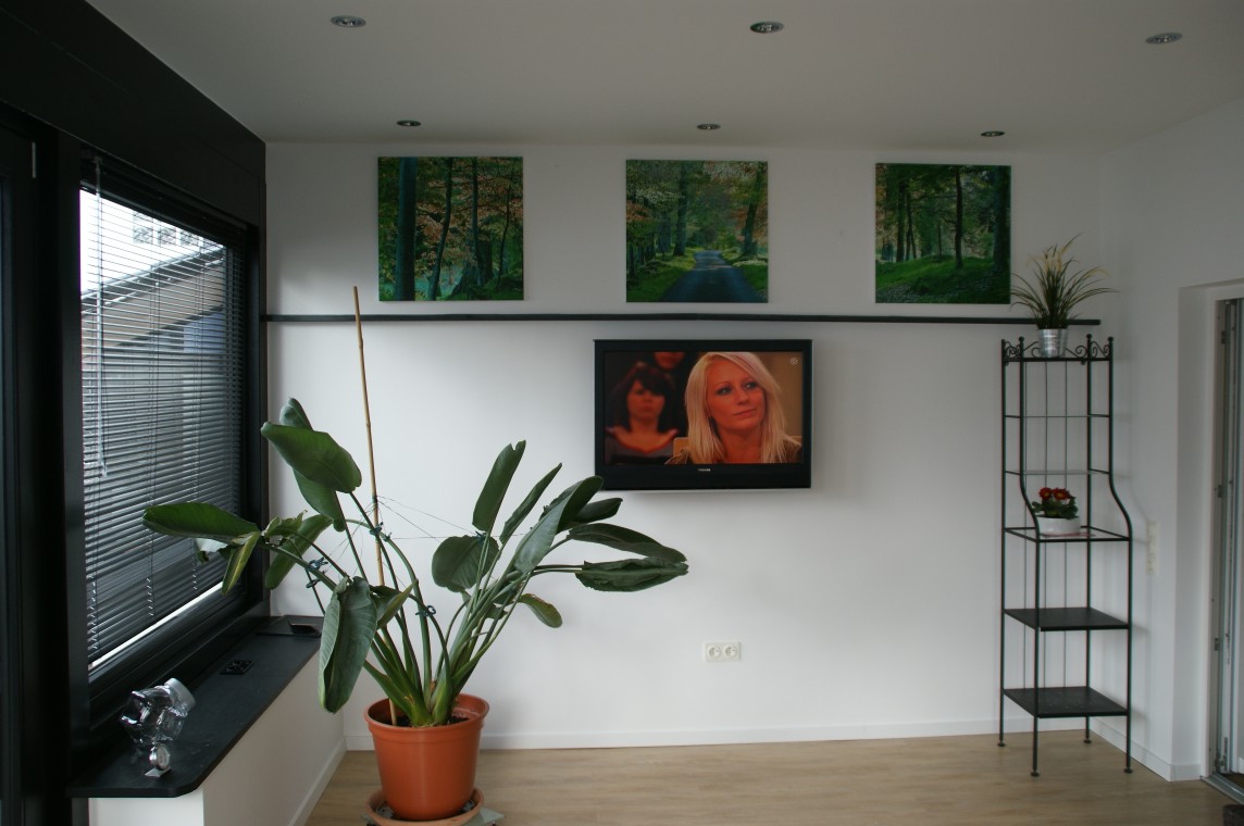 Ferienhaus_TV